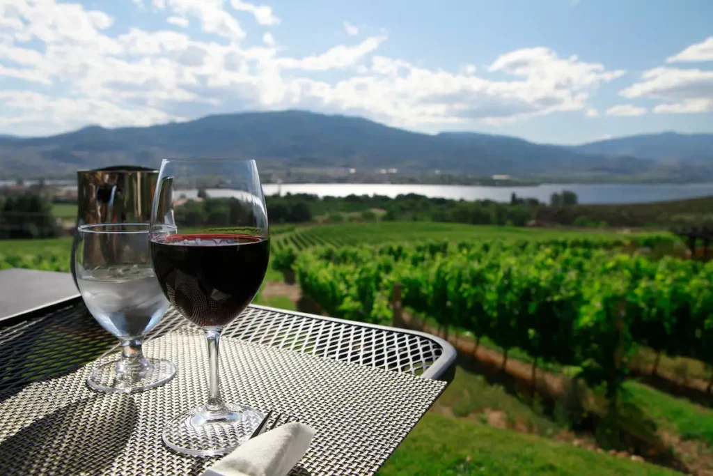 wine-tours